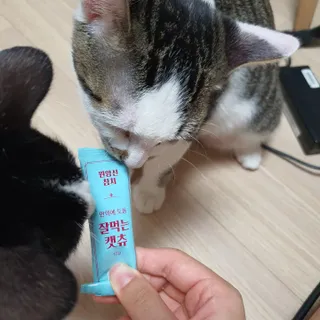 페페로니 잘 먹는 캣츄 - 원양선 참치 24개입 — 5점을 준 리뷰어가 2021년 9월 올린 사용 사진