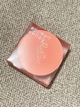 [블랙루즈] 피치 커버 벨벳 쿠션 2종 중 택1 — 5점을 준 리뷰어가 2020년 12월 올린 사용 사진
