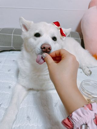 bori0924님이 올린 리뷰 사진 3