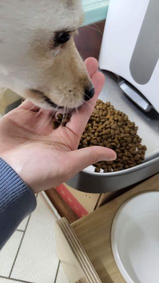 비누님이 올린 리뷰 사진 3