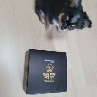 [세싹보울] 세균 싹~ 사라지는 셀앤핏 펫 항균동 애견식기 — 5점을 준 리뷰어가 2021년 6월 올린 사용 사진