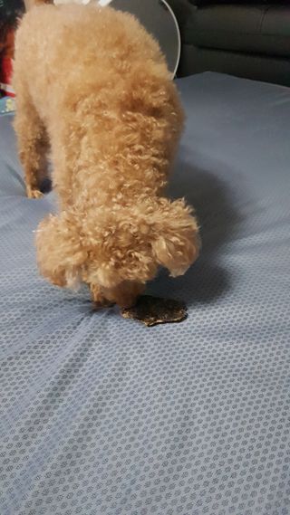 다둥맘님이 올린 리뷰 사진 3