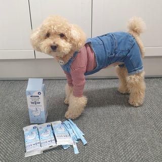 차세라님이 올린 리뷰 사진 4