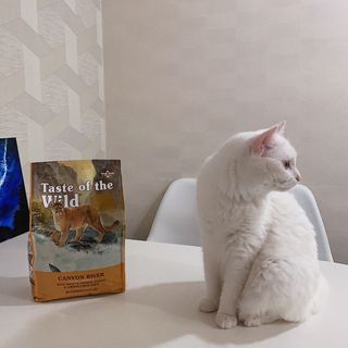ㄹ진님이 올린 리뷰 사진 1
