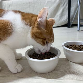루비나나님이 올린 리뷰 사진 4