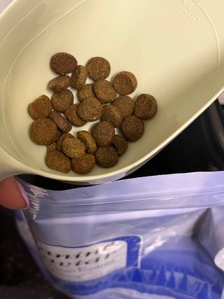 캐닌캐비어 알카라인 홀리스틱 그레이프리 앙뜨레 ALS_4종 오픈스카이, 와일드오션, 프리스피릿, 스페셜니즈 — 5점을 준 리뷰어가 2023년 4월 올린 사용 사진