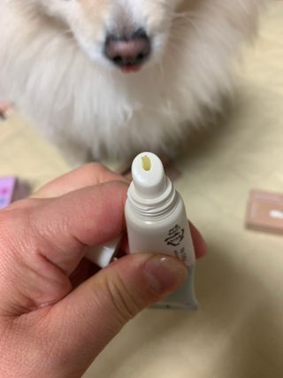 [후르디아] 올리브영 착한보습 비건 립버터 2종 — 5점을 준 리뷰어가 2023년 1월 올린 사용 사진