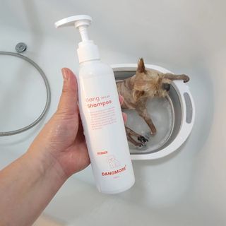 [댕모어 샴푸 2종] 댕샴푸 / 퍼피샴푸  2종 세트 (300ml) — 5점을 준 리뷰어가 2023년 9월 올린 사용 사진