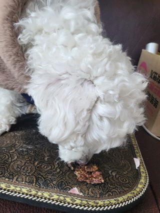 햄님이 올린 리뷰 사진 3