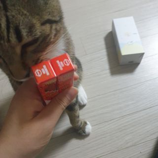 이째님이 올린 리뷰 사진 2