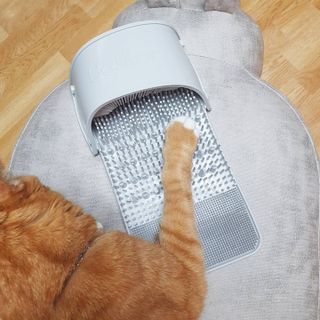 안젤라mj님이 올린 리뷰 사진 2