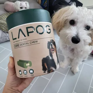 댑빵이님이 올린 리뷰 사진 4
