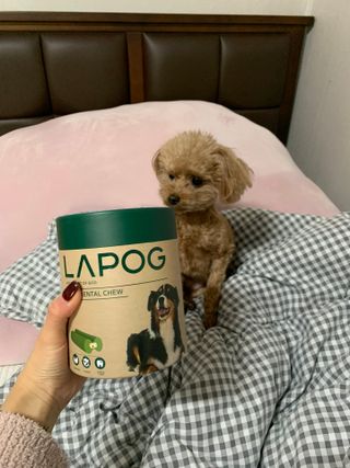 메리츠화재 박새라님이 올린 리뷰 사진 3
