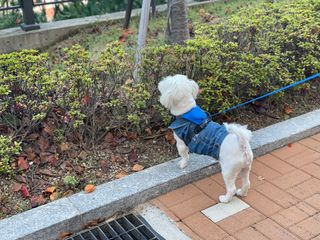 벨라님이 올린 리뷰 사진 3