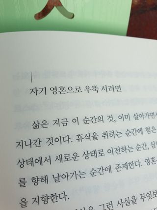 Gold Sunshine님이 올린 리뷰 사진 2