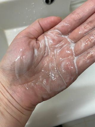 베일리님이 올린 리뷰 사진 2