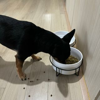 박소미님이 올린 리뷰 사진 3