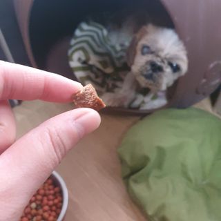 스마일뇽뇽님이 올린 리뷰 사진 1
