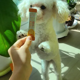 열매님이 올린 리뷰 사진 1