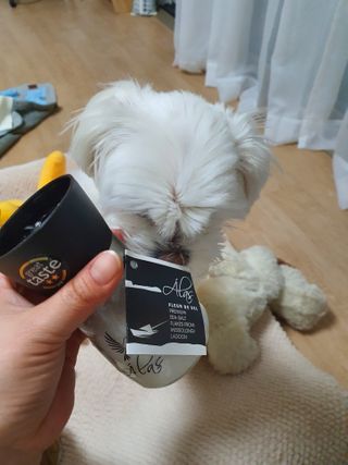 뽀오오옹님이 올린 리뷰 사진 2
