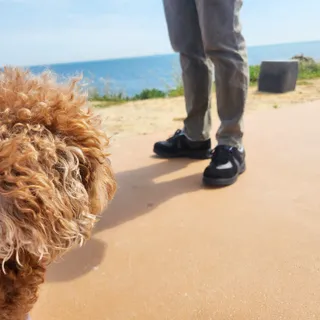 사랑해안시영님이 올린 리뷰 사진 2