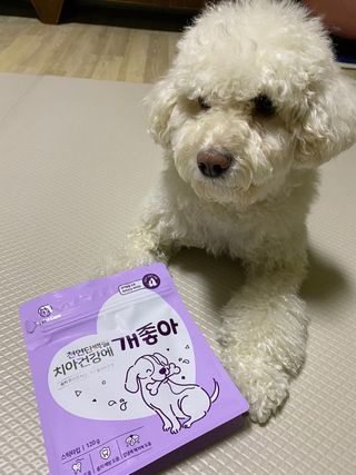 파라오겅쭈님이 올린 리뷰 사진 3