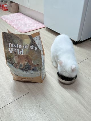 noname님이 올린 리뷰 사진 1