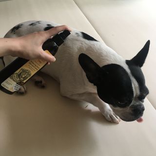옴뇸뇸님이 올린 리뷰 사진 3