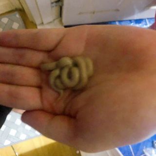 c1bzzvd5mkg님이 올린 리뷰 사진 2