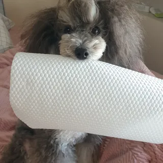 BlossomY님이 올린 리뷰 사진 3
