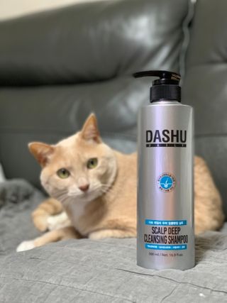 다슈코리아 다슈 데일리 두피 딥 클렌징 샴푸 500ml — 4점을 준 리뷰어가 2021년 2월 올린 사용 사진