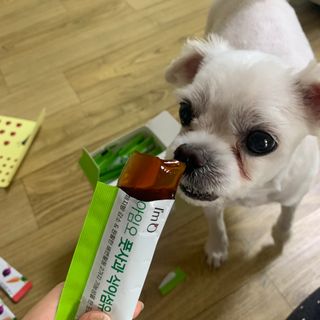 bibi1517님이 올린 리뷰 사진 4