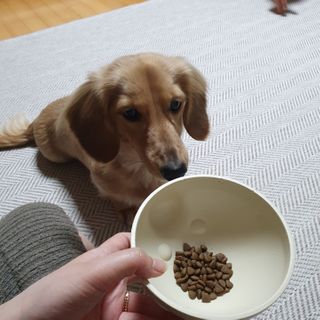 이륜의님이 올린 리뷰 사진 3