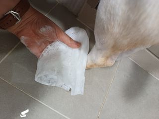 [댕모어 샴푸 2종] 댕샴푸 / 퍼피샴푸  2종 세트 (300ml) — 5점을 준 리뷰어가 2023년 11월 올린 사용 사진