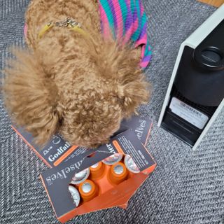 [카페뎀셀브즈] 캡슐커피 한달체험무료 호환캡슐 30개 0원 — 5점을 준 리뷰어가 2021년 12월 올린 사용 사진