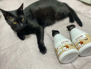 [과일나라] 피부가 마시는 코코넛우유 바디클렌저&바디로션 — 5점을 준 리뷰어가 2022년 3월 올린 사용 사진