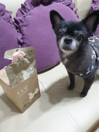 도그퓨어 푸드닭 강아지 닭고기 통살 애견간식 오리지널/차전자피/초록입홍합 — 4.5점을 준 리뷰어가 2021년 11월 올린 사용 사진