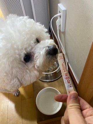My Pet Care 모발과 모질 피부건강에 개좋아 — 5점을 준 리뷰어가 2020년 12월 올린 사용 사진