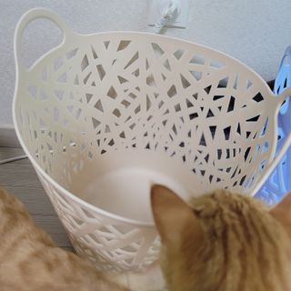 이째님이 올린 리뷰 사진 4