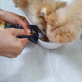 양용언님이 올린 리뷰 사진 3