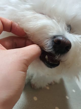 hyun♡님이 올린 리뷰 사진 3