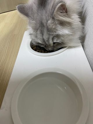 빨간망토유히님이 올린 리뷰 사진 2