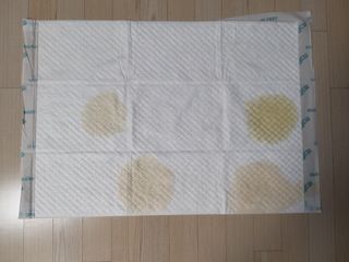 아베크 펫 와이드 프리미엄 대형 애견 강아지 배변 패드 30매 1팩 80g — 5점을 준 리뷰어가 2021년 7월 올린 사용 사진