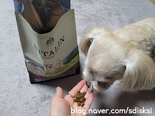 영국 바이탈린 강아지 애견사료 2kg — 5점을 준 리뷰어가 2021년 6월 올린 사용 사진