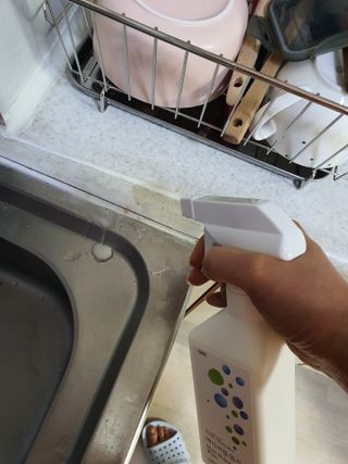 또멍몽🐶빤멍몽🐶님이 올린 리뷰 사진 2