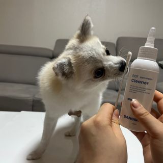 [댕모어 클리너 3종] 아이클리너 / 이어클리너 / 덴탈클리너 3종 세트 (120ml) — 5점을 준 리뷰어가 2023년 11월 올린 사용 사진