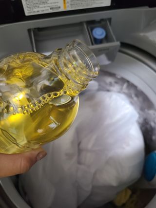 요하님이 올린 리뷰 사진 4
