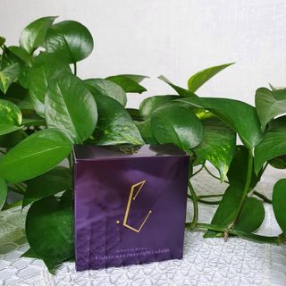 JAYDEN님이 올린 리뷰 사진 1