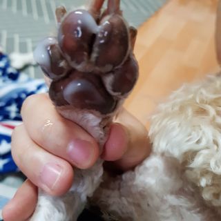 버츠비 케어플러스 릴리빙포앤노즈로션 — 3점을 준 리뷰어가 2021년 4월 올린 사용 사진