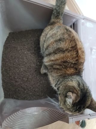 리지용님이 올린 리뷰 사진 1